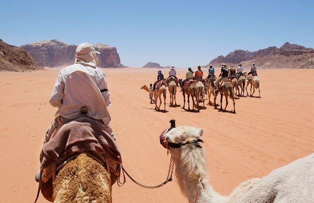 Private Morning Desert Safari with Camel Riding in Dubai