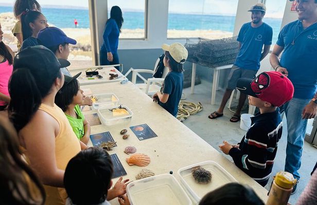 La Paz: Pearl Farm Experience and shop