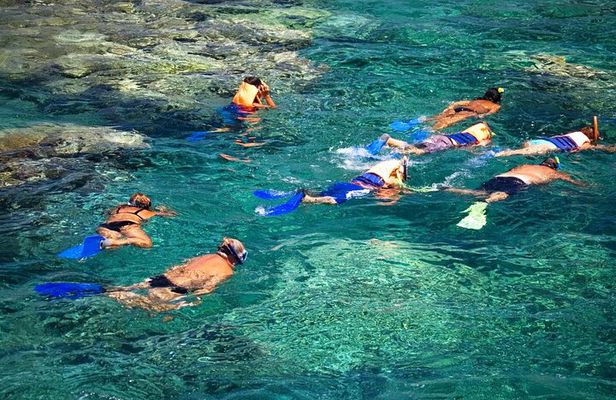 La Paz: Coral Farm Snorkel Tour