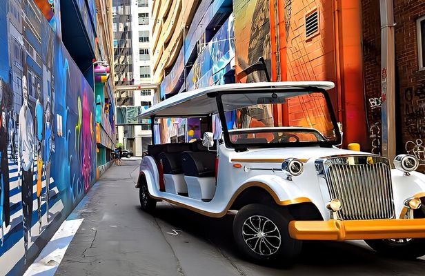 Charlotte:Historical Southern Elegance Guided Tour by Vintage Car