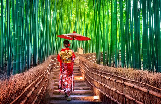 3 Days Private Osaka Kyoto and Nara Tour With English Driver