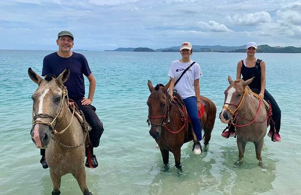 Horseback Riding - 2h Guided Tour