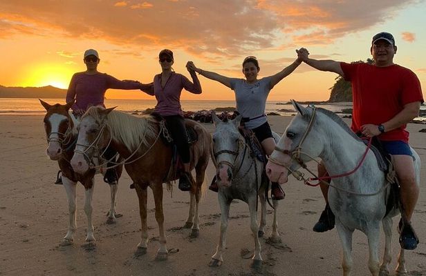 Horseback Riding - 1 hour 30 minutes Guided Tour