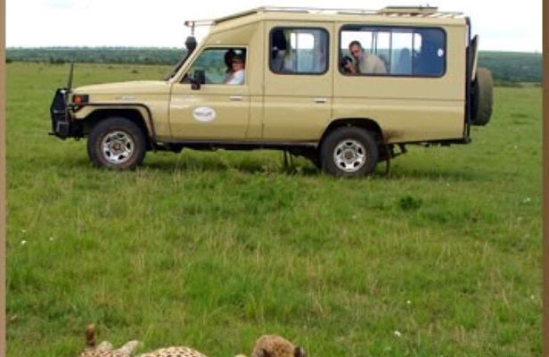 4 Day Group Safari Masai Mara & L Nakuru-4 WD