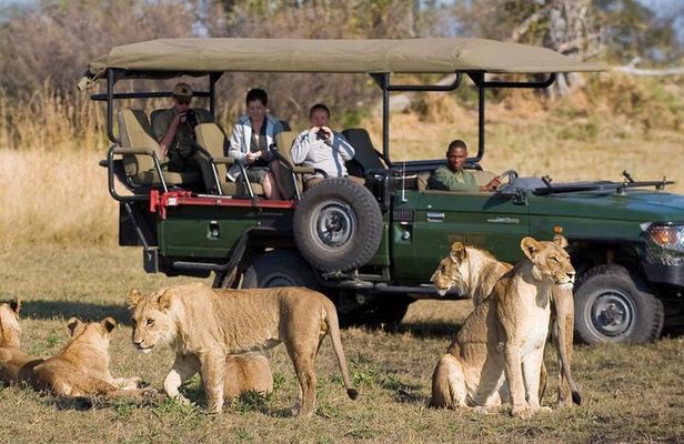 Small Group 3 Day Garden Route Adventure from Cape Town