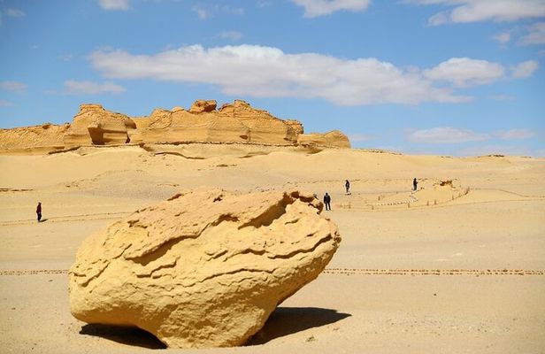 Wadi Al-Hitan Private Valley of the Whales Day Tour From Cairo