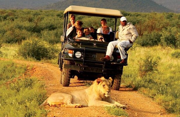 Small Group 4 Day Garden Route Adventure from Cape Town