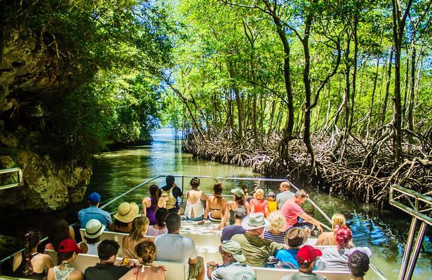 PRIVATE: 3in1 - Los Haitises N.P. + Y. Waterfall + Mount. Redonda