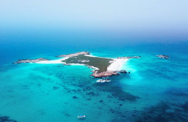 Daymaniyat Islands Oman Sharing Tour