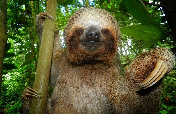 La Fortuna Guided Day Nature Experience 2hrs