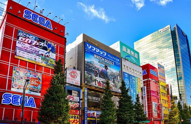 Private Walking Tour in Tokyo Cultural Heritage Route