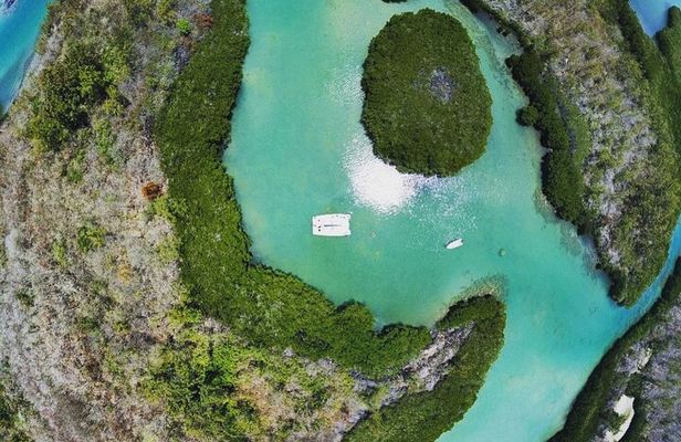 Full Day Catamaran Cruise - Northeast Mangrove explore (sharing)