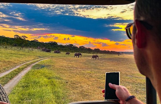 Game Drive in Zambezi National Park, Victoria Falls
