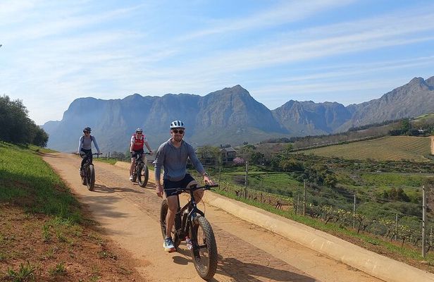 Stellenbosch Shared E-bike & Wine Tour