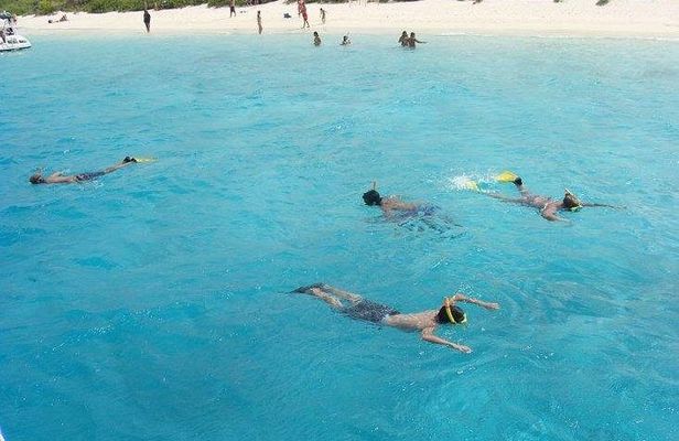 Luxury Sail & Snorkeling