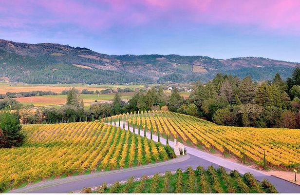 6 Hour Custom Napa or Sonoma Private Wine Tour
