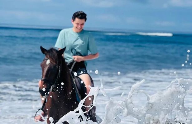 Saba Beach bali Horse Riding