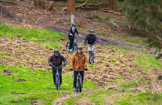 Explore Nature with All-Terrain E-Scooters