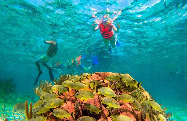 Puerto Morelos Snorkel, Town Walk, Tequila Tasting & Beach Lunch