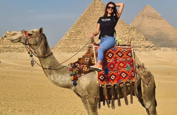 Over Day Cairo by Bus Pyramids and Museum from Sharm el Sheikh