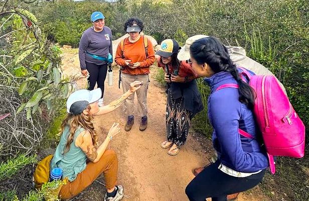 Small Group Hike Through San Diego's Heart and Soul