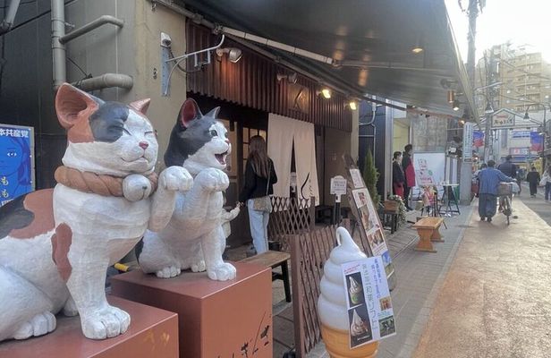 Walking Tour in Yanaka Nezu and Sendagi: Tea Ceremony & Old Tokyo