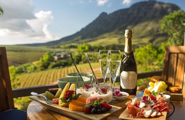 Cape Town Wildlife and Wine Adventure Cheetahs Giraffes with Wine