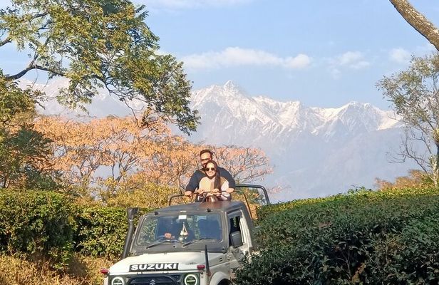 Jeep Safari and Picnic Tour