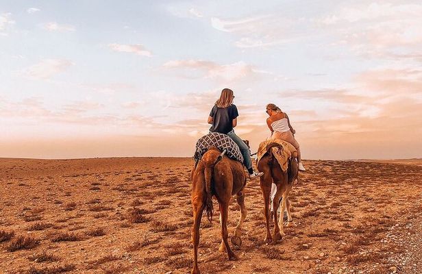 Sunset camel ride and dinner in Agafay desert.