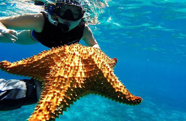 Speed Boat with Snorkeling Adventure of Cancun