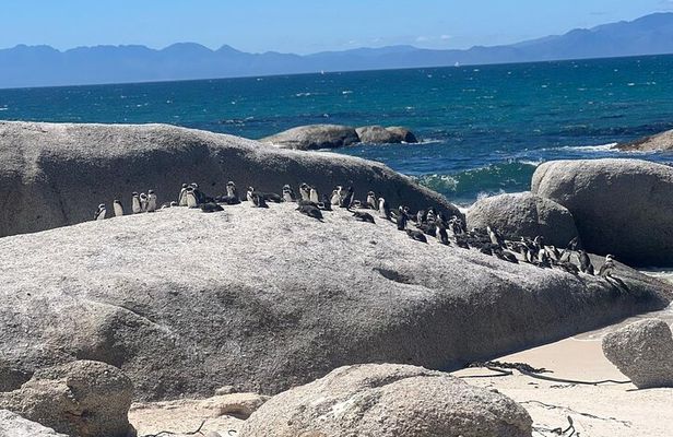 Full-Day Cape of Good Hope and Table Mountain with Penguins Tour