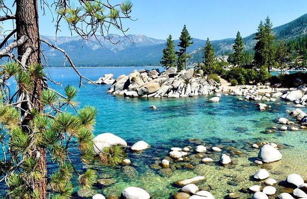 San Francisco to Yellowstone and Las Vegas 7-Day Tour