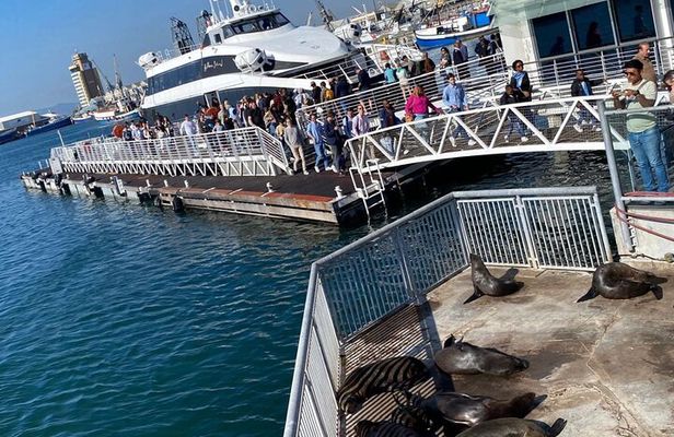Robben Island Experience: Pre-Booked Ticket & Return Transfers