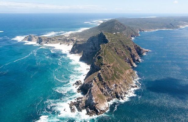  Table Mountain, cape peninsula& Penguins Colony Small Group Tour