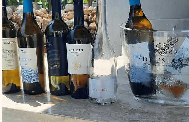 wine tasting at your villa