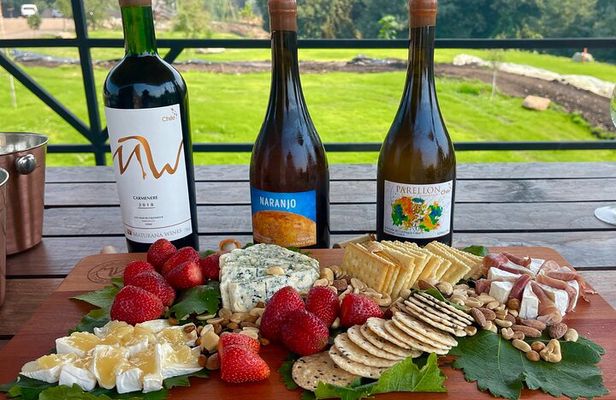 Private Tour at Maturana Wines and VIK winery with Lunch