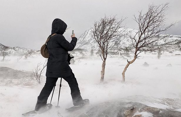 Snowshoeing - Winter Day Trip in Bodø, Northern Norway