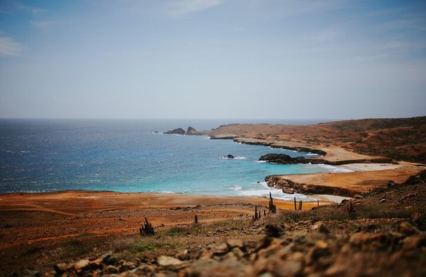 Aruba Small-Group UTV Adventure|Private Off-Road Tour Max 4 UTVs