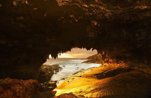 Cruise Ship Flinders Chase Tour