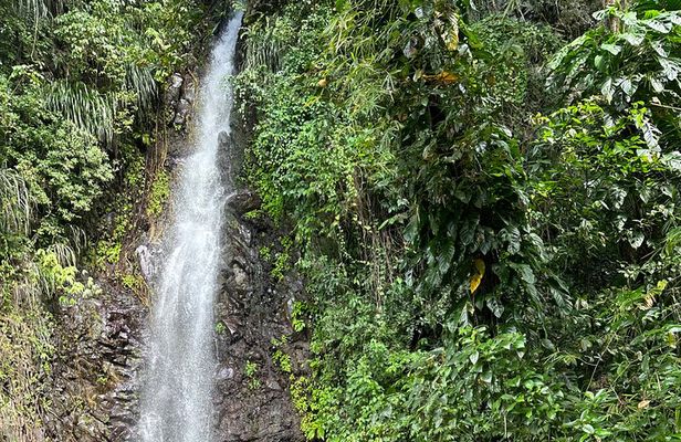 Fun and Exhilarating Experience at Dark View Falls