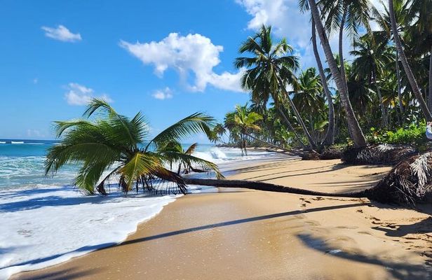 Punta Cana: Amazing ATV Adventure Private Road & Beach W/ PickUp