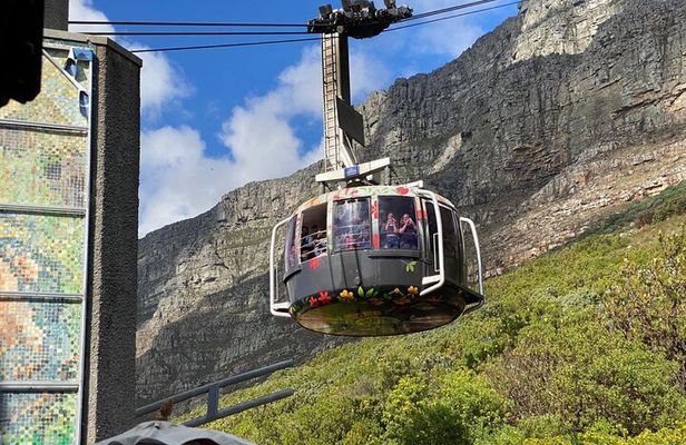 7-Hour Private Guided Tour in Table Mountain and Robben Island