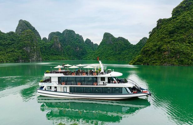 Halong Pamela Cruise 5 Star Luxury Day Tour Depart from Harbor