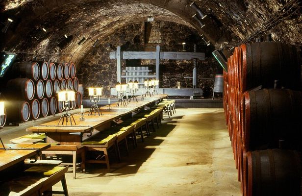 Day Boat trip and City Tour in Tokaj Hungary with Wine Tasting