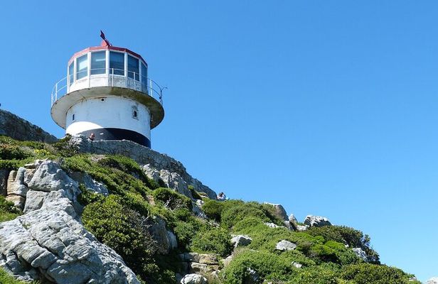 Cape Point and Boulder's Penguins Full Day Tour