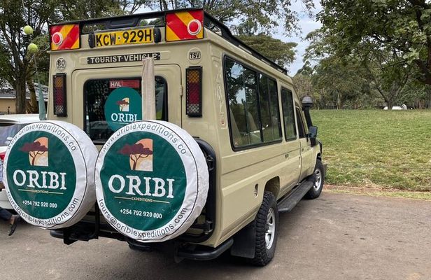 Nairobi National Park Half Day Tour