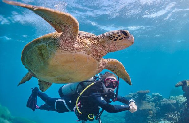 Miami Two Tank Dive Trip