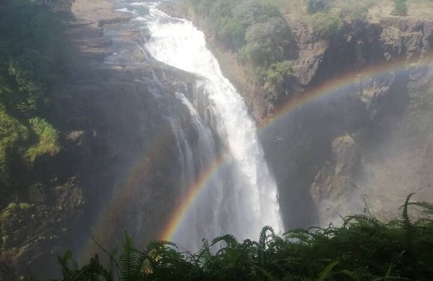 Guided Tour of the Falls (Zimbabwe side)