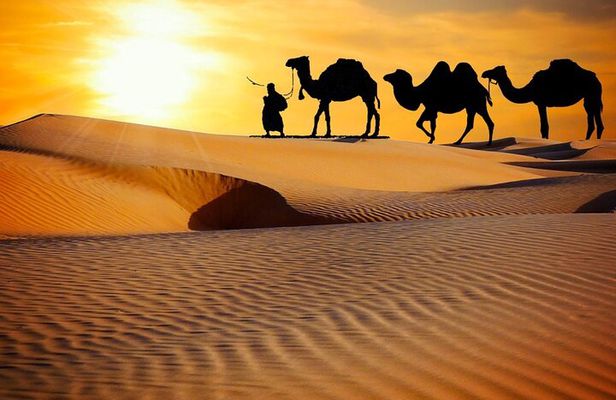 Abu Dhabi Evening Desert Safari Adventure