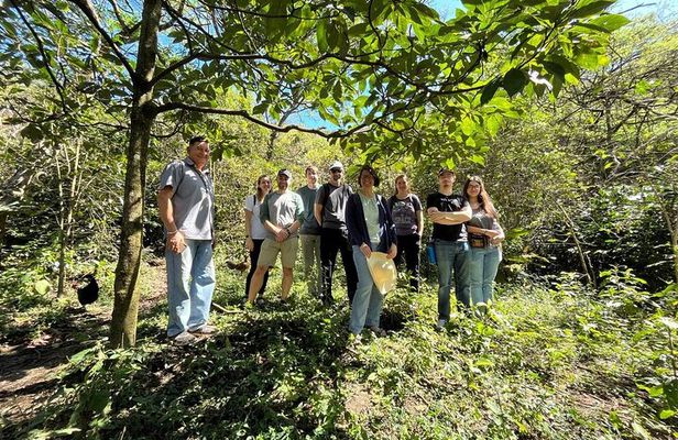 Organic Coffee Farm Tour